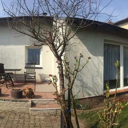 Ferienhaus Auf Usedom زينوويتز المظهر الخارجي الصورة